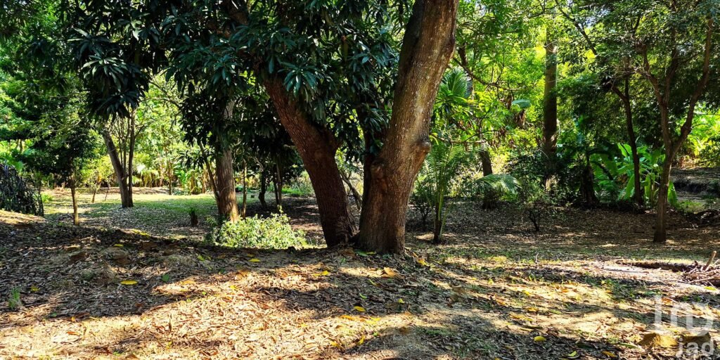 TERRENO EN VENTA A 3 MINUTOS DEL AEROPUERTO, PUERTO ESCONDIDO