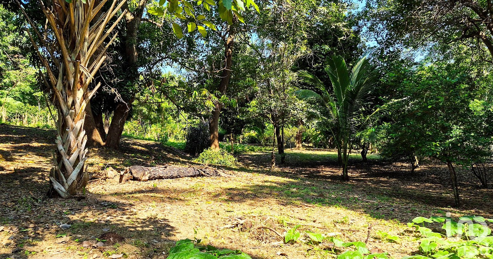 TERRENO EN VENTA A 3 MINUTOS DEL AEROPUERTO, PUERTO ESCONDIDO TERRENO EN VENTA A 3 MINUTOS DEL AEROPUERTO, PUERTO ESCONDIDO