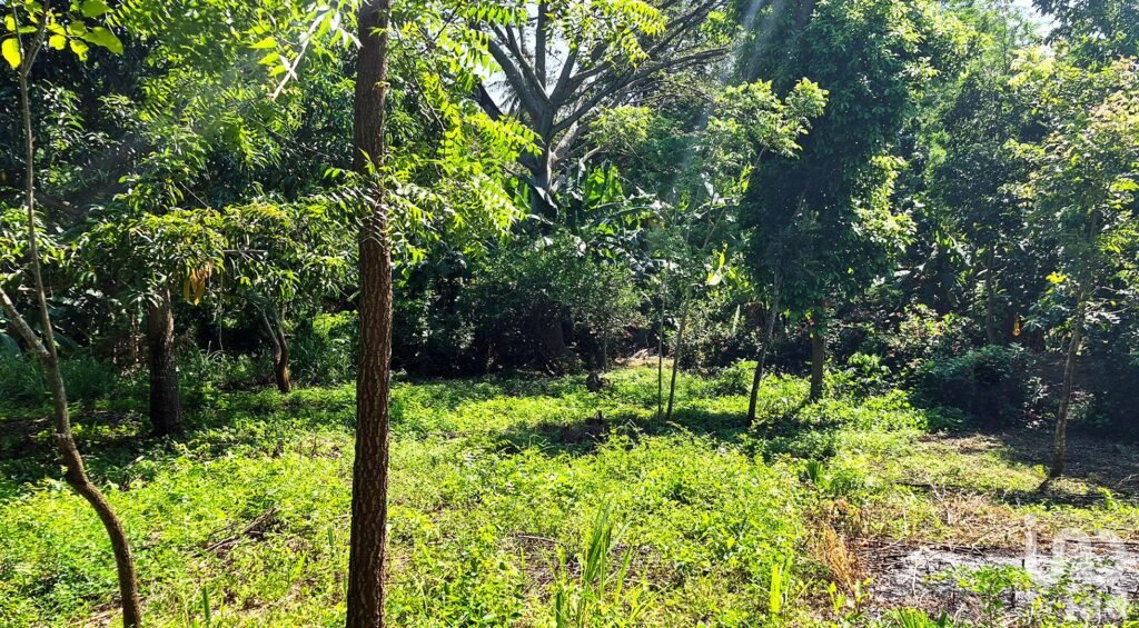 TERRENO EN VENTA, PUERTO ESCONDIDO