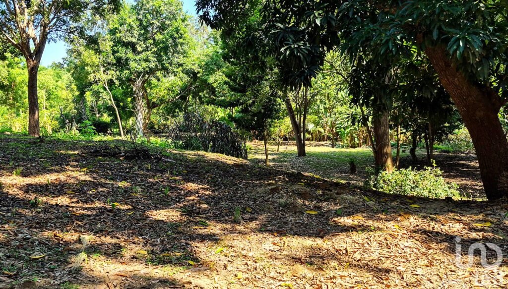 TERRENO EN VENTA, PUERTO ESCONDIDO