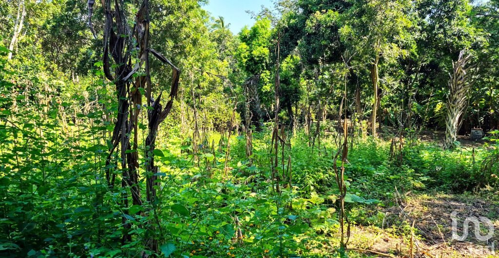 TERRENO EN VENTA, PUERTO ESCONDIDO