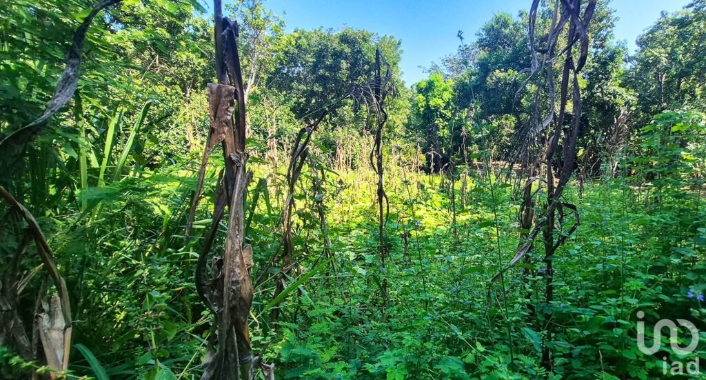TERRENO EN VENTA, PUERTO ESCONDIDO