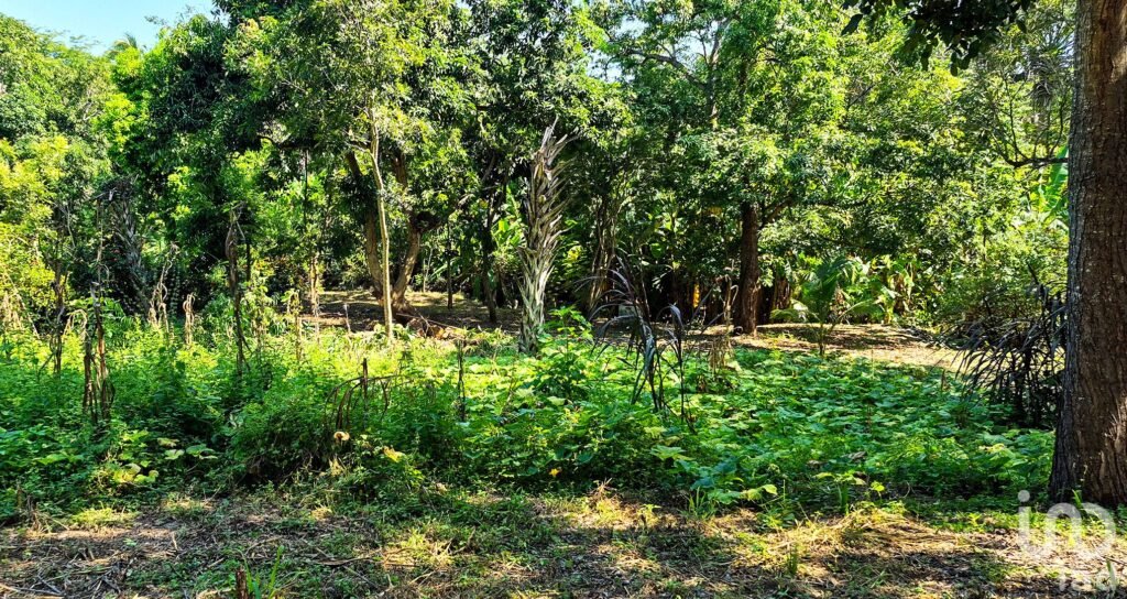 TERRENO EN VENTA, PUERTO ESCONDIDO