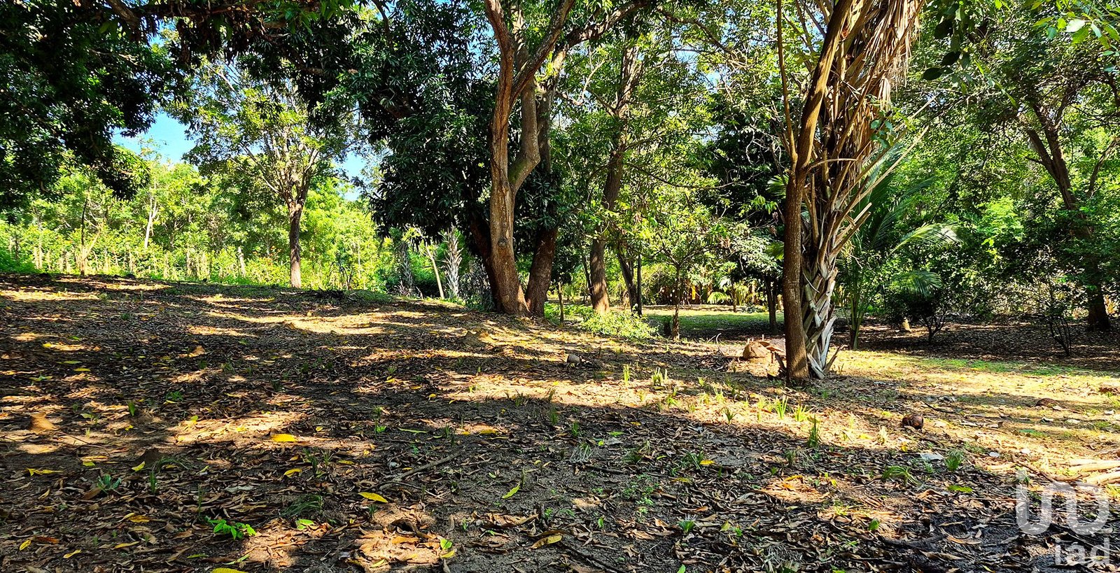 TERRENO EN VENTA, PUERTO ESCONDIDO