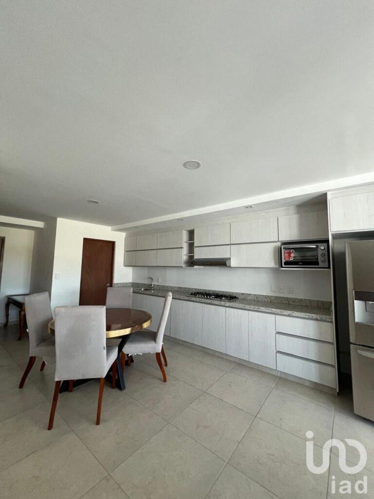 PENTHOUSE CON ROOF GARDEN EN RENTA EN BAJADA CHAPULTEPEC A UNOS PASOS DEL PARQUE CHAPULTEPEC