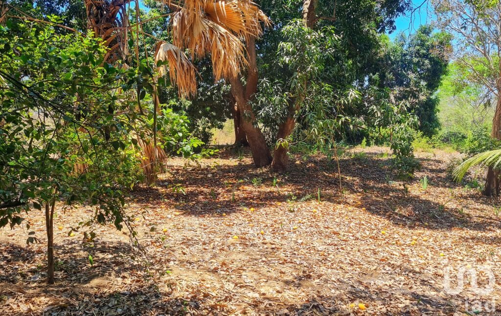 GRAN OPORTUNIDAD : TERRENO EN VENTA, PUERTO ESCONDIDO