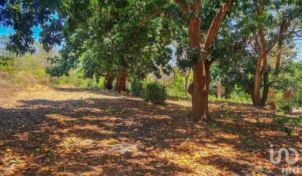 GRAN OPORTUNIDAD : TERRENO EN VENTA, PUERTO ESCONDIDO