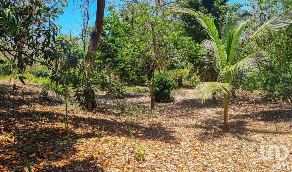 GRAN OPORTUNIDAD : TERRENO EN VENTA, PUERTO ESCONDIDO