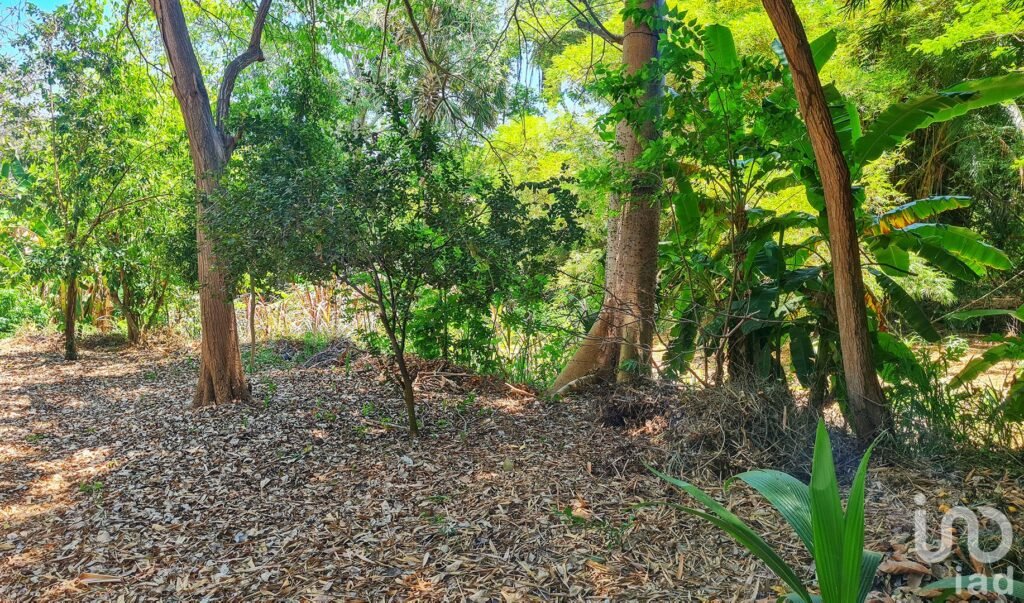 GRAN OPORTUNIDAD : TERRENO EN VENTA, PUERTO ESCONDIDO