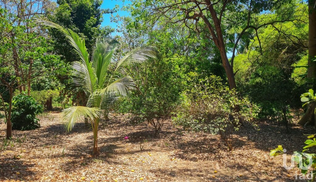 GRAN OPORTUNIDAD : TERRENO EN VENTA, PUERTO ESCONDIDO