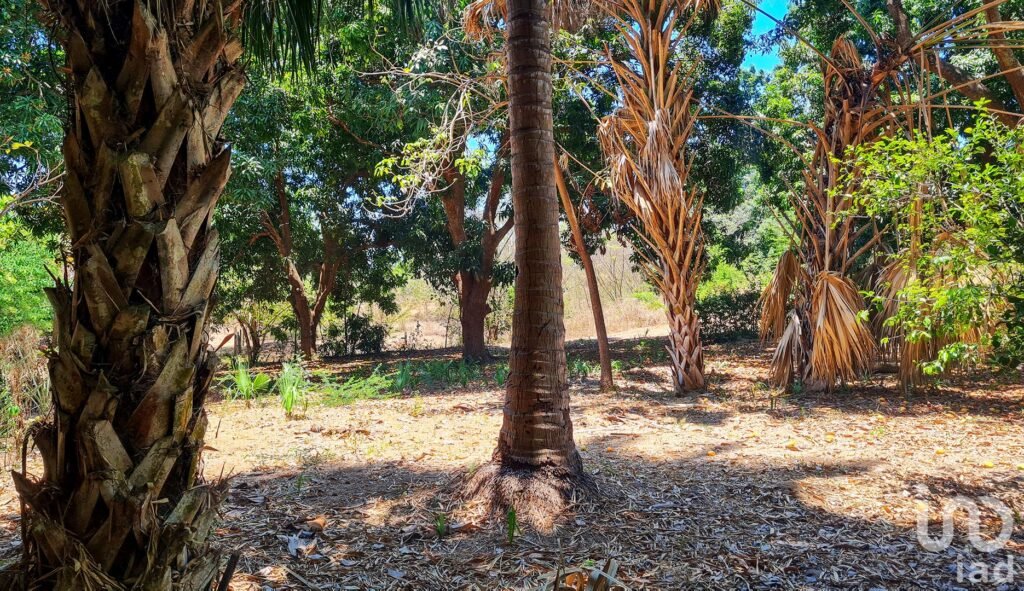 GRAN OPORTUNIDAD : TERRENO EN VENTA, PUERTO ESCONDIDO