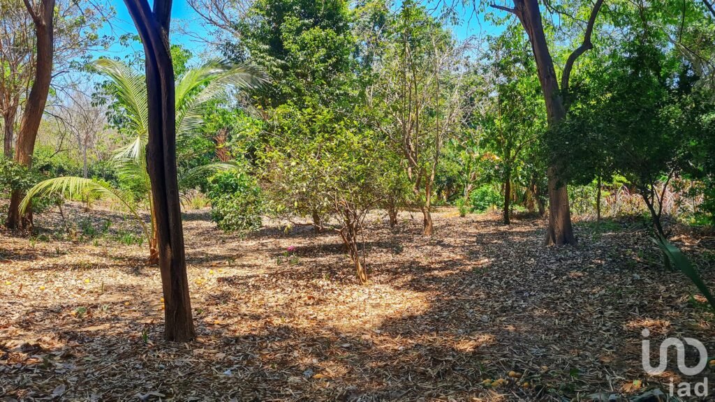 GRAN OPORTUNIDAD : TERRENO EN VENTA, PUERTO ESCONDIDO