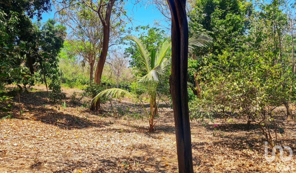 GRAN OPORTUNIDAD : TERRENO EN VENTA, PUERTO ESCONDIDO