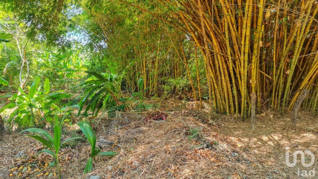 GRAN OPORTUNIDAD : TERRENO EN VENTA, PUERTO ESCONDIDO