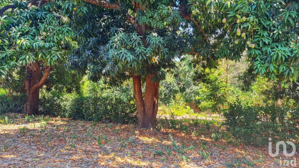 GRAN OPORTUNIDAD : TERRENO EN VENTA, PUERTO ESCONDIDO