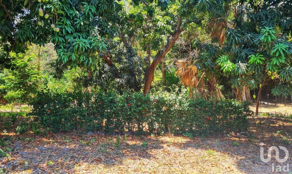 GRAN OPORTUNIDAD : TERRENO EN VENTA, PUERTO ESCONDIDO