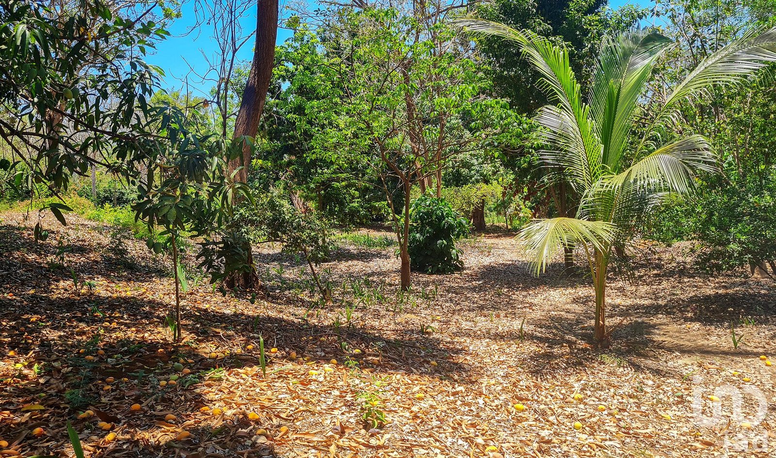 GRAN OPORTUNIDAD : TERRENO EN VENTA, PUERTO ESCONDIDO