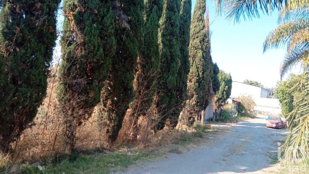 Terreno en Venta en San Antonio Cacalotepec, en Buenavista