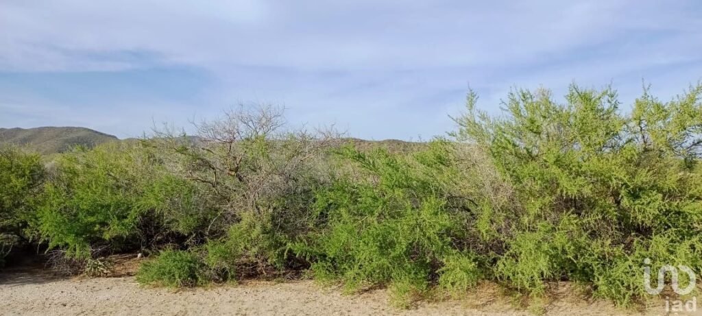 TERRENO EN VENTA EN PUNTA PESCADERO BAJA CALIFORNIA SUR