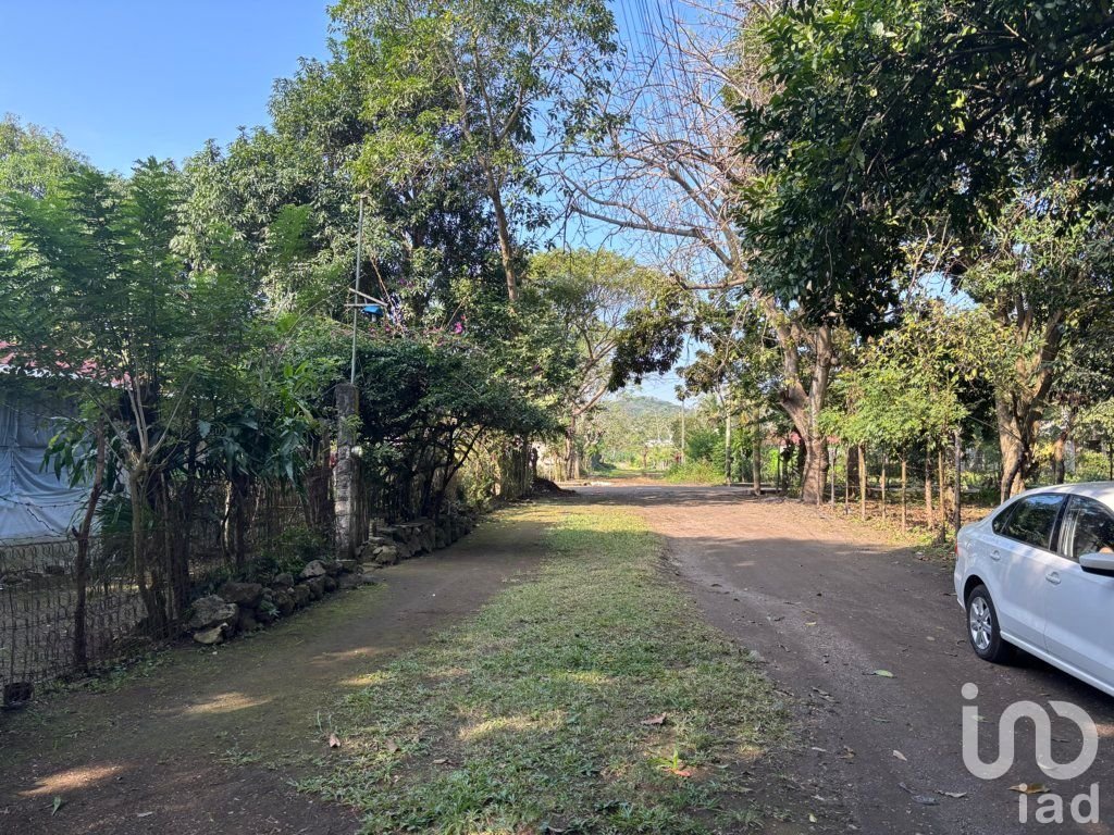 TERRENO EN VENTA, CALLE LAZARO CARDENAS #SN CONGREGACION SIHUAPAN, MPIO. SAN ANDRES TUXTLA, VER.