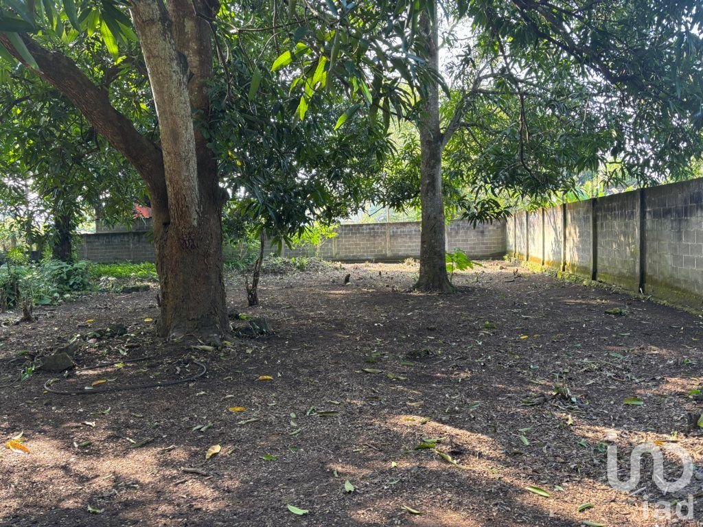 TERRENO EN VENTA, CALLE LAZARO CARDENAS #SN CONGREGACION SIHUAPAN, MPIO. SAN ANDRES TUXTLA, VER.