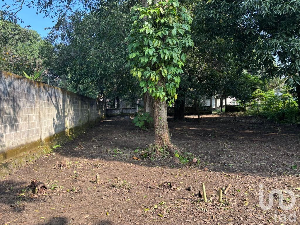 TERRENO EN VENTA, CALLE LAZARO CARDENAS #SN CONGREGACION SIHUAPAN, MPIO. SAN ANDRES TUXTLA, VER.