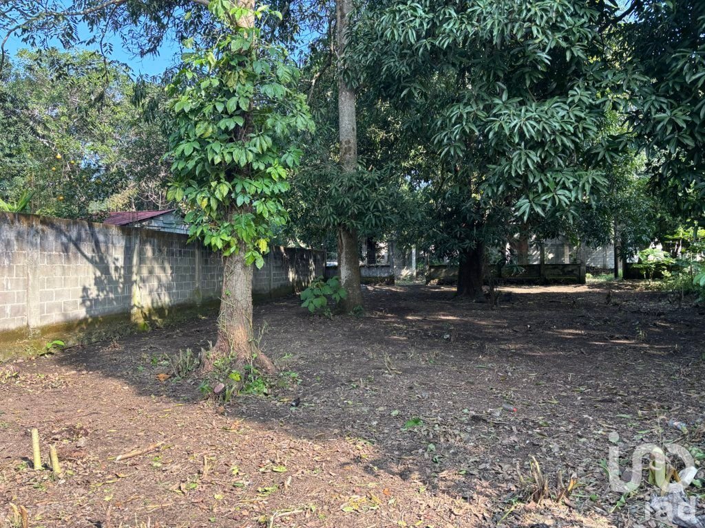 TERRENO EN VENTA, CALLE LAZARO CARDENAS #SN CONGREGACION SIHUAPAN, MPIO. SAN ANDRES TUXTLA, VER.