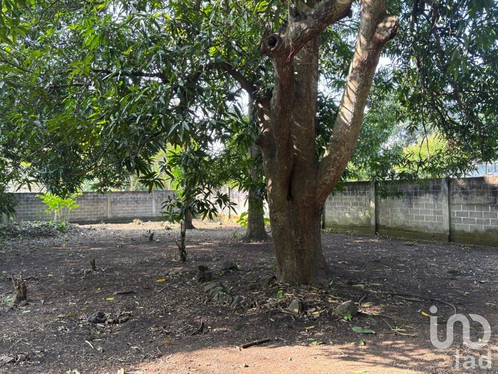 TERRENO EN VENTA, CALLE LAZARO CARDENAS #SN CONGREGACION SIHUAPAN, MPIO. SAN ANDRES TUXTLA, VER.