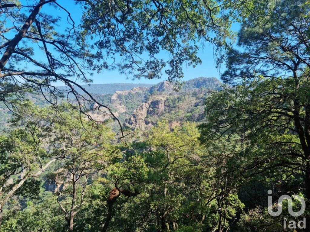 TERRENOS RESIDENCIALES PREMIUM EN TEPOZTLAN