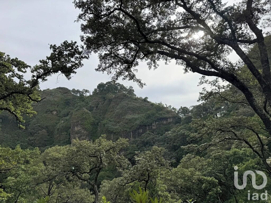 TERRENOS RESIDENCIALES PREMIUM EN TEPOZTLAN