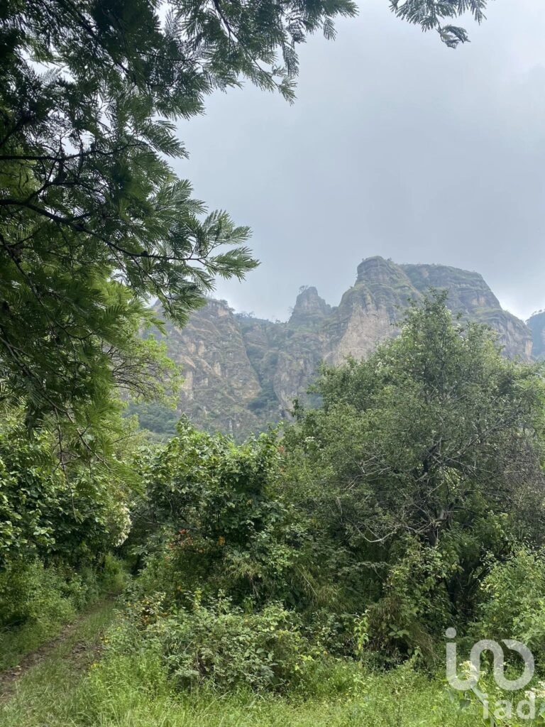 TERRENOS RESIDENCIALES PREMIUM EN TEPOZTLAN