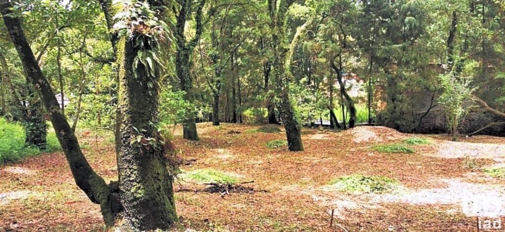 TERRENOS RESIDENCIALES PREMIUM EN TEPOZTLAN