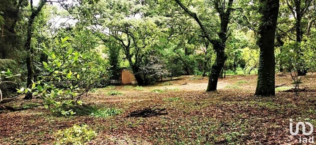 TERRENOS RESIDENCIALES PREMIUM EN TEPOZTLAN