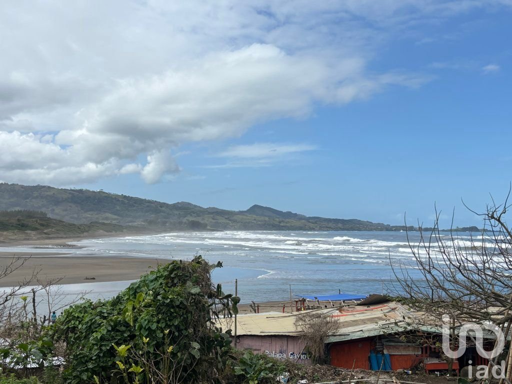 TERRENO, AV DALIAS L-7 M-22 LOCALIDAD MONTEPIO, MPIO. SAN ANDRES TUXTLA, VER.