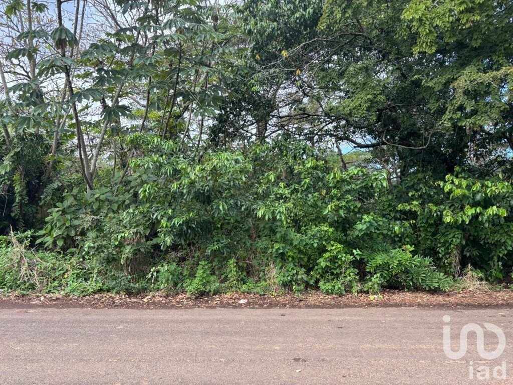 TERRENO, AV DALIAS L-7 M-22 LOCALIDAD MONTEPIO, MPIO. SAN ANDRES TUXTLA, VER.