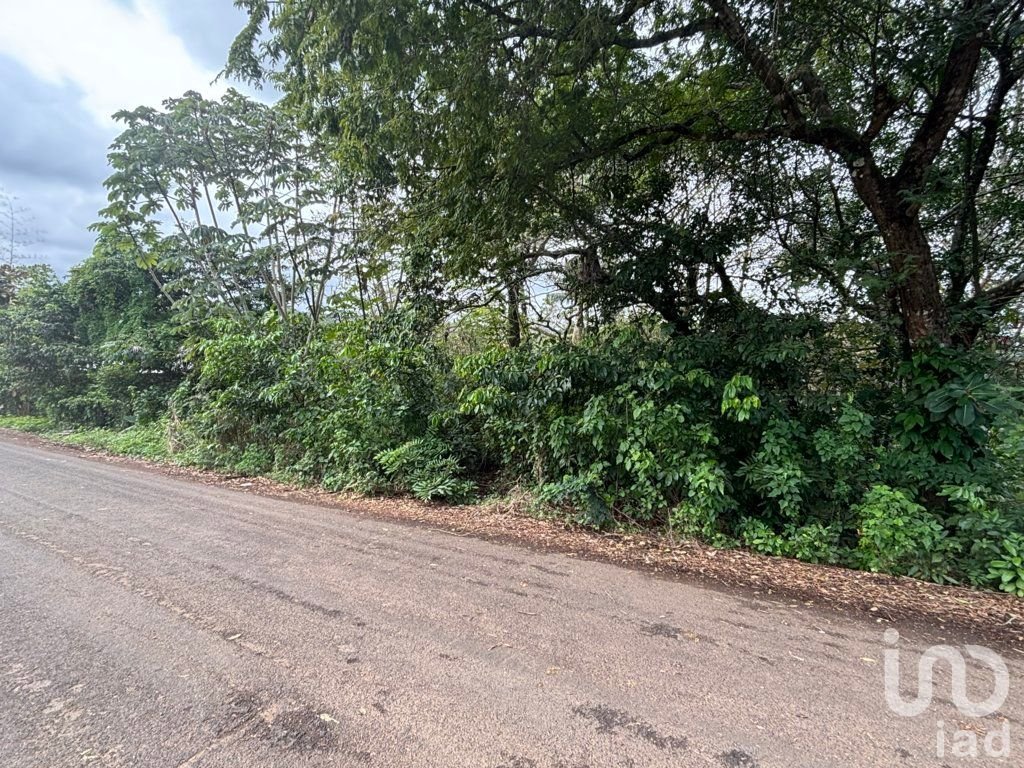 TERRENO, AV DALIAS L-7 M-22 LOCALIDAD MONTEPIO, MPIO. SAN ANDRES TUXTLA, VER.