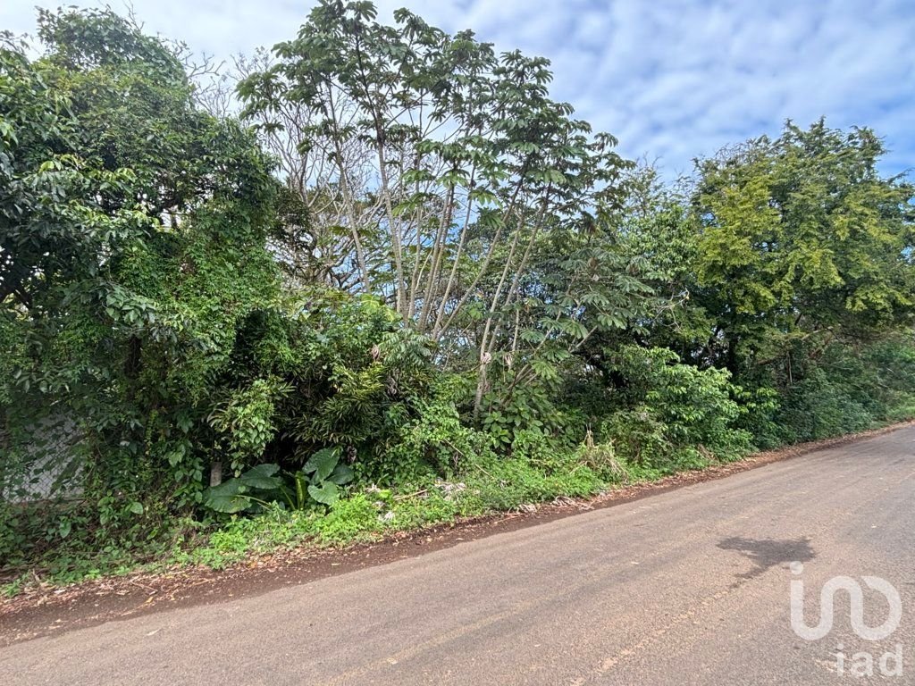 TERRENO, AV DALIAS L-7 M-22 LOCALIDAD MONTEPIO, MPIO. SAN ANDRES TUXTLA, VER.