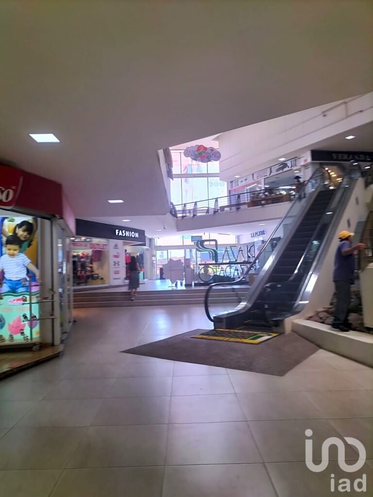 LOCAL COMERCIAL PLAZA DEL ZAPATO LEON GTO