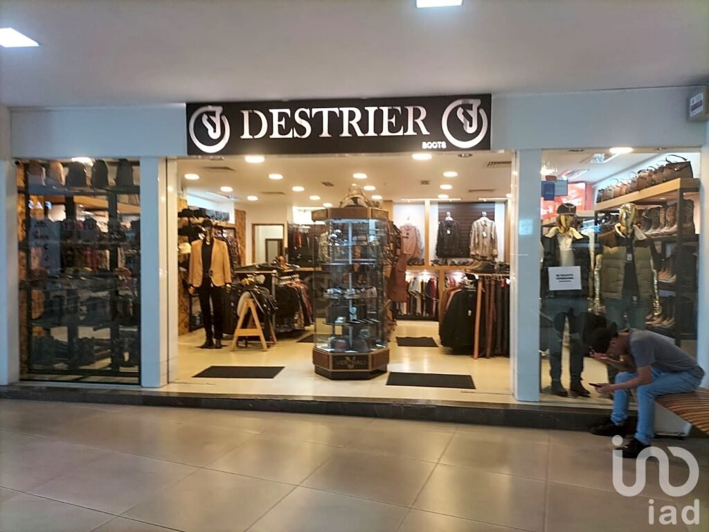 LOCAL COMERCIAL PLAZA DEL ZAPATO LEON GTO