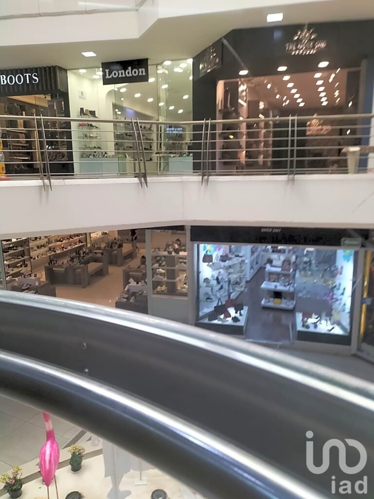 LOCAL COMERCIAL PLAZA DEL ZAPATO LEON GTO