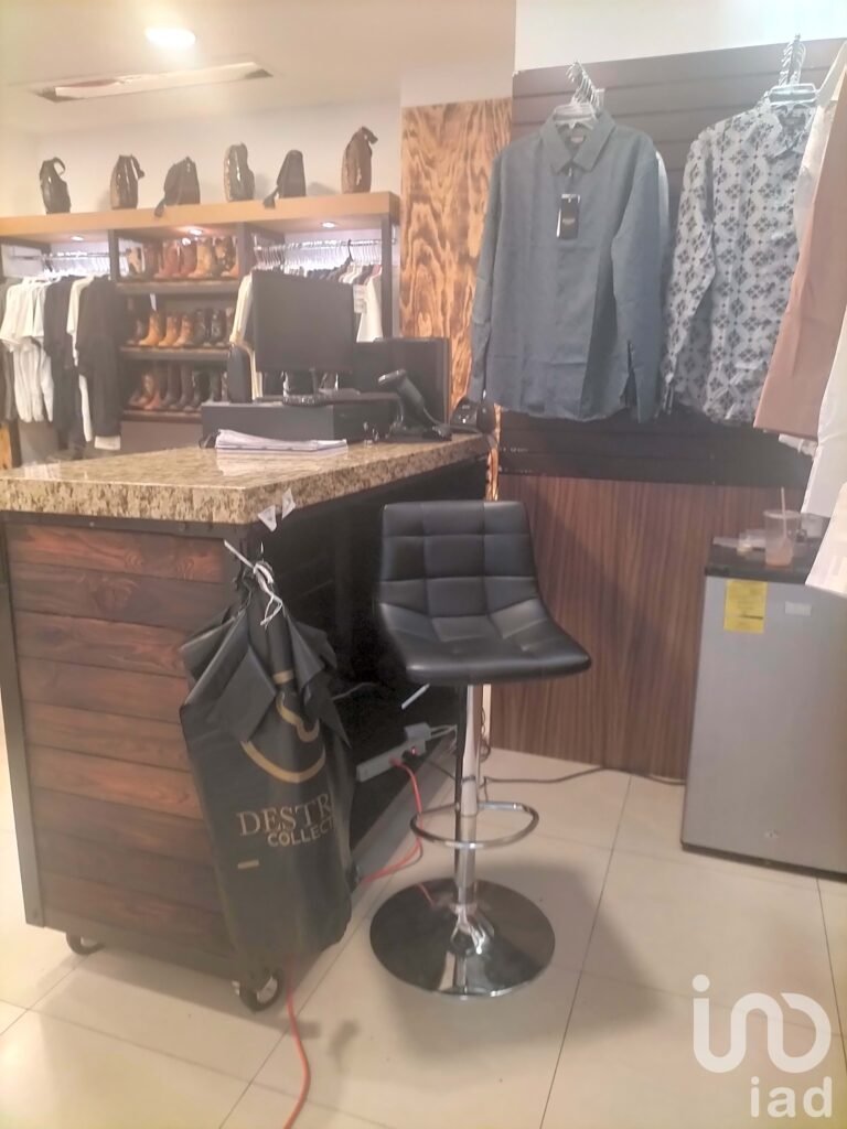 LOCAL COMERCIAL PLAZA DEL ZAPATO LEON GTO