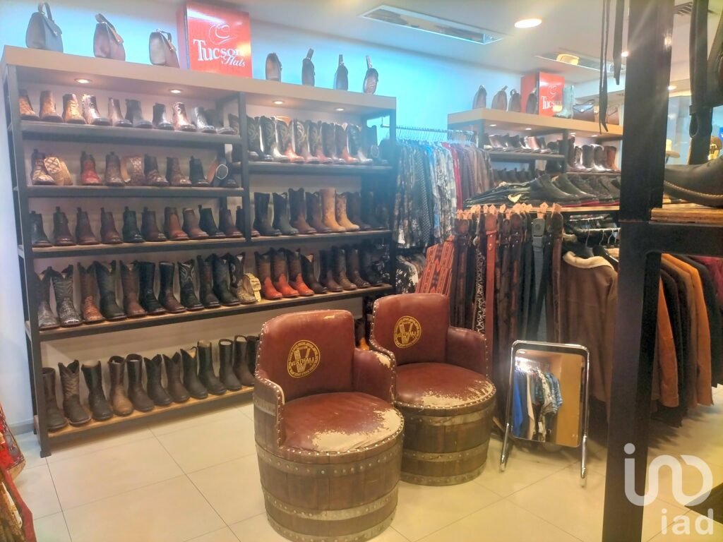 LOCAL COMERCIAL PLAZA DEL ZAPATO LEON GTO