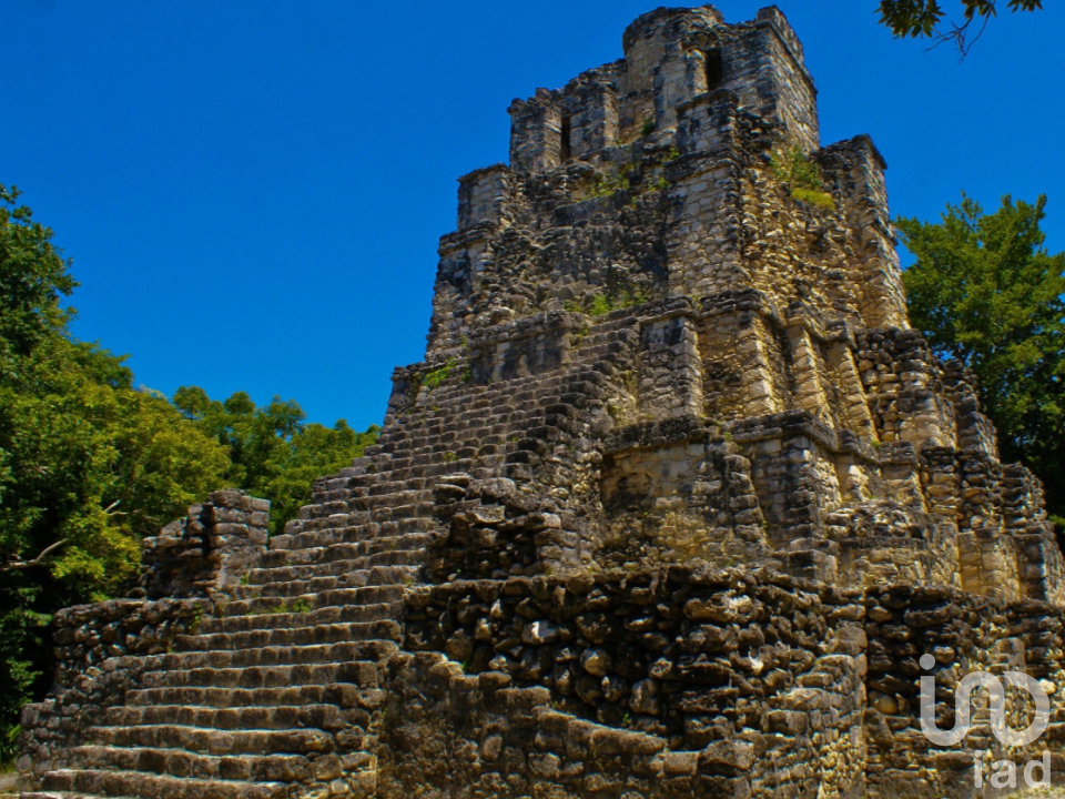 5 Hectareas Muyil 570