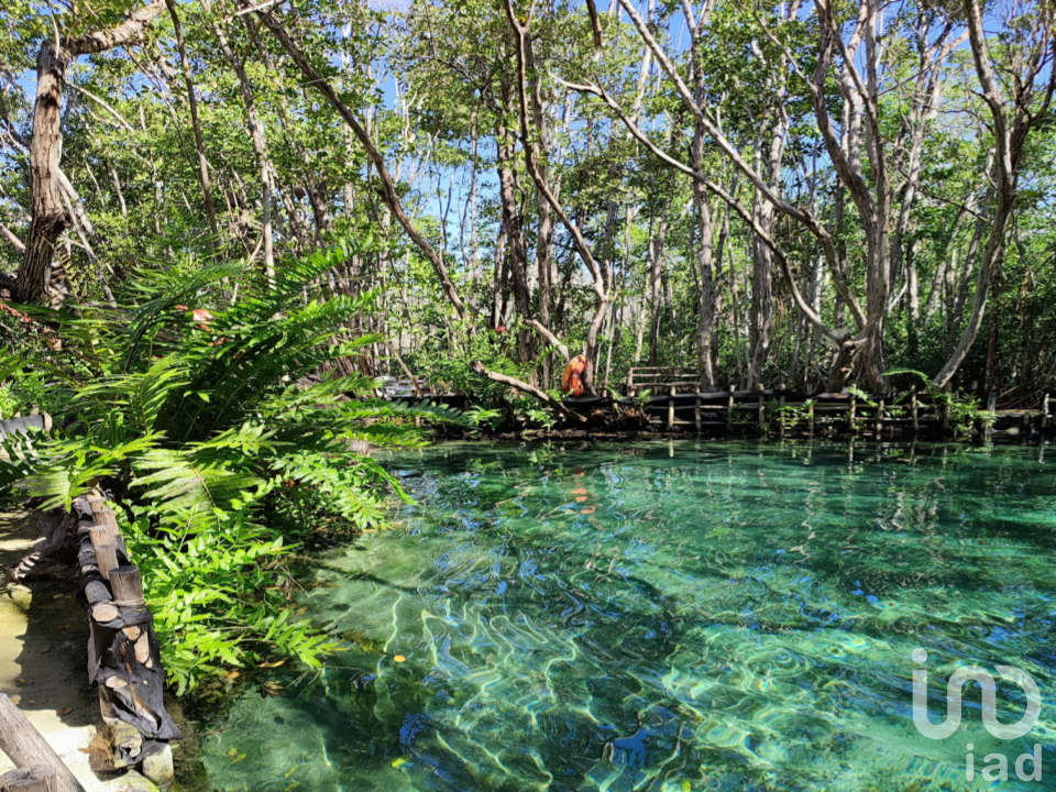 5 Hectareas Muyil 570