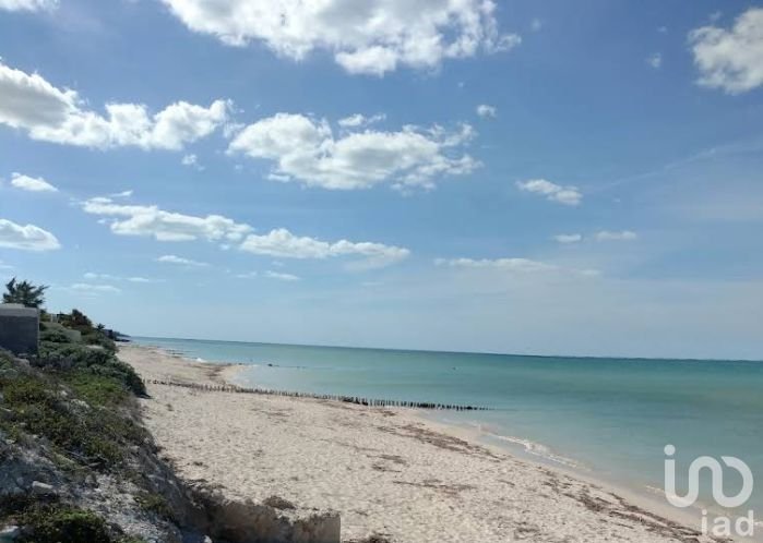 Terreno Residencial en Chuburná Puerto Ideal para Casa de Playa o Inversión Terreno Residencial en Chuburná Puerto Ideal para Casa de Playa o Inversión