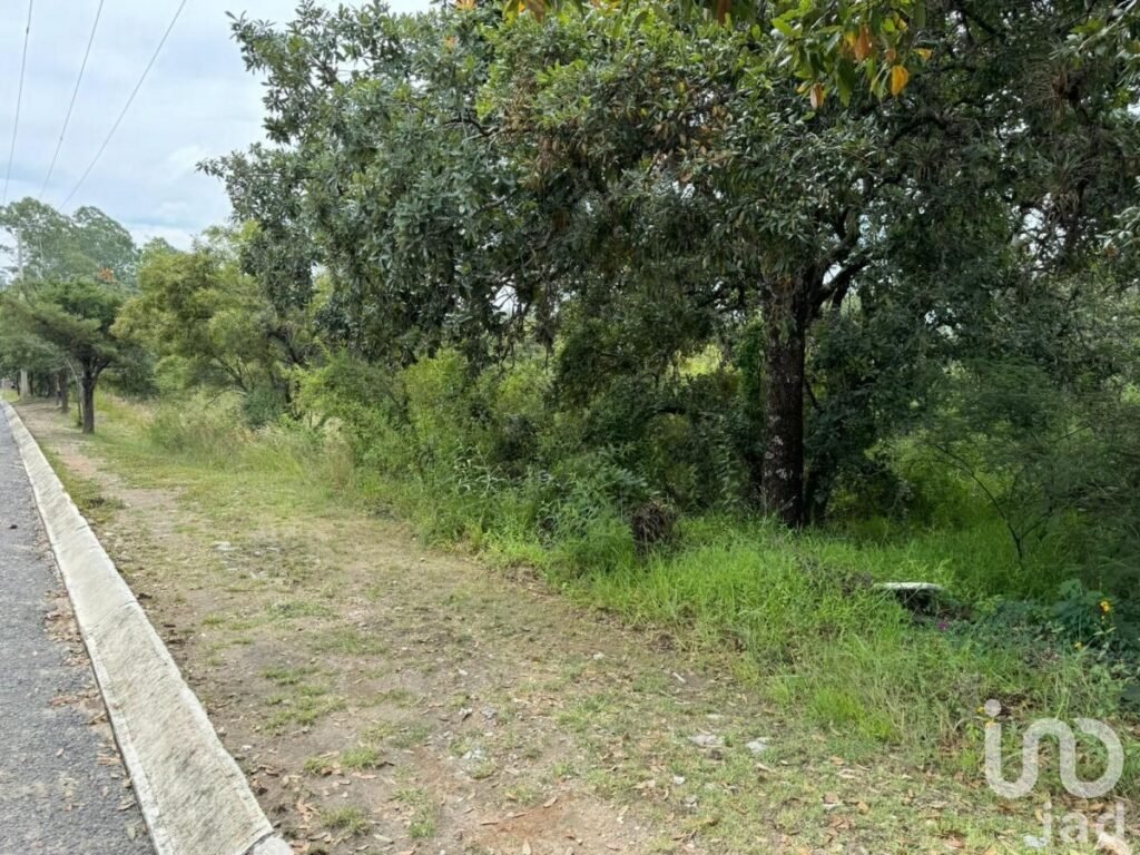 Terreno Premium en Fincas Ecuestres | Haras Ciudad Ecológica, Puebla-Mexico