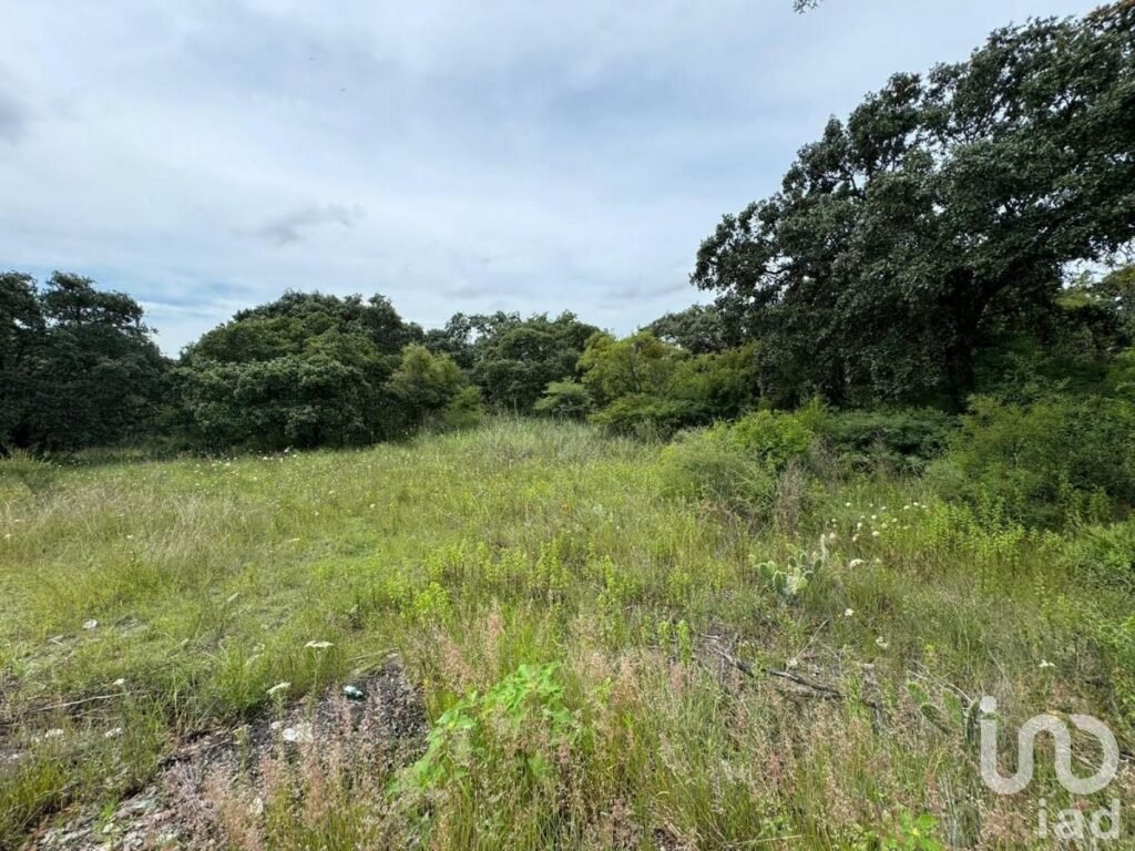 Terreno Premium en Fincas Ecuestres | Haras Ciudad Ecológica, Puebla-Mexico