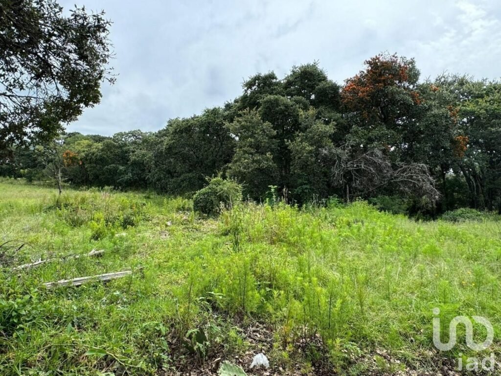 Terreno Premium en Fincas Ecuestres | Haras Ciudad Ecológica, Puebla-Mexico