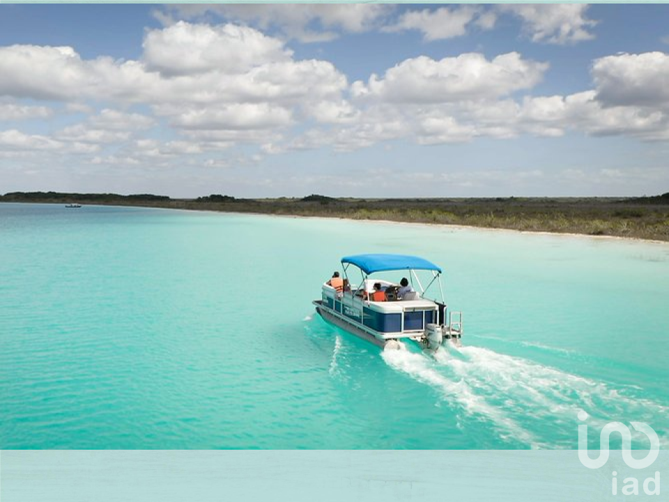 Terreno estratégico en Bacalar 10,000 m² 150 m de la laguna Uso mixto ideal para hotel o desarrollo