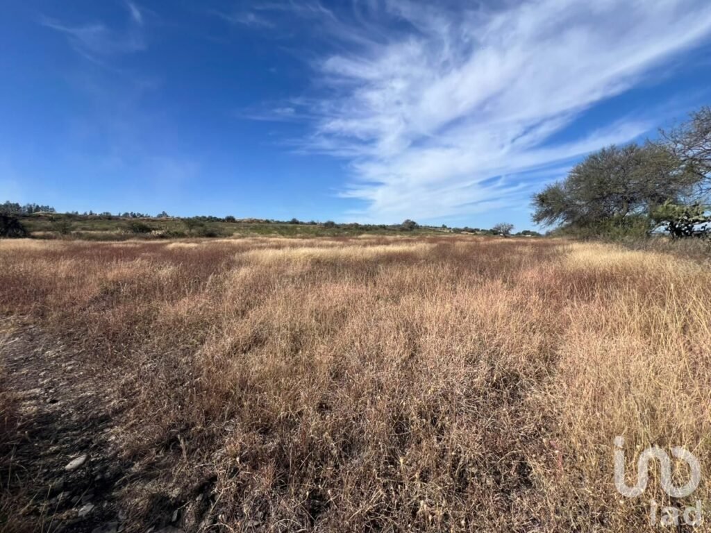 Terreno en Venta Rancho el Grande